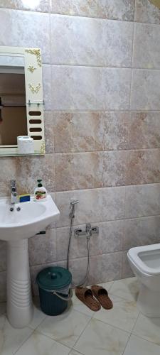 a bathroom with a sink and a toilet at Hasanovs Villa in Baku