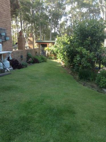 a yard with green grass and trees and a building at Seascape in Forster