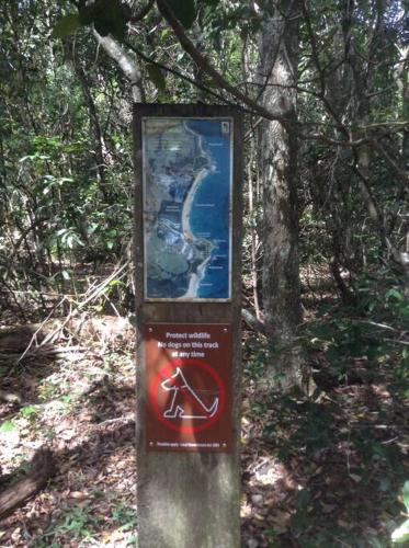 a sign in the middle of a forest at Seascape in Forster