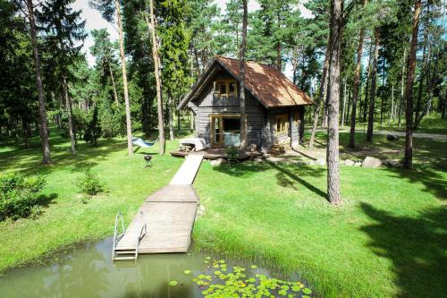 a small cabin in the woods next to a body of water at Ungru Holiday Houses in Suuresadama