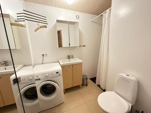 a bathroom with a washing machine and a sink at An elegant studio apartment in Reykjavik - Great Location in Reykjavík