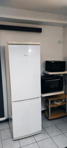 a white refrigerator in a room with a microwave at Studio des Grenadiers in Balaruc-les-Bains