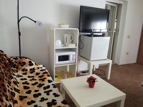 a living room with a couch and a tv at Casa Oriana in Predeal