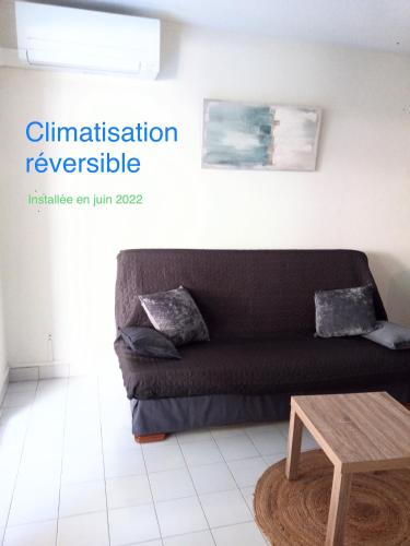 - un canapé noir dans le salon avec une table dans l'établissement Frejus Plage, Appartement entier , piscine,parking,plage à 200m, à Fréjus