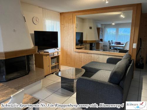 a living room with two couches and a television at Schwizi's Apartments in Ringgenberg