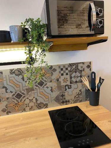 un comptoir de cuisine avec un four micro-ondes et une plante dans l'établissement Studio industriel proche gare, à Sète