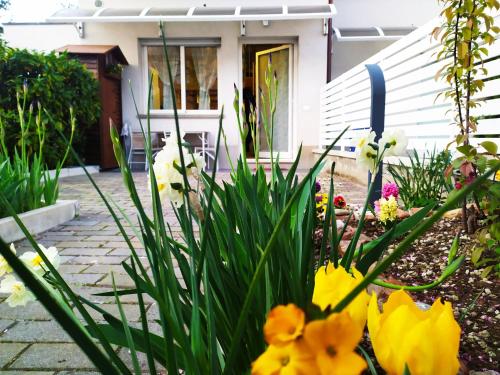 BHH BOLOGNA HOLIDAY HOME private Garden Reserved Parking -wwwbolognaholidayhomecom- house garden parking photo 48