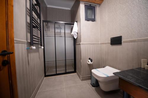 AHISKA PALAS OTEL في كارس: حمام مع مرحاض وممشى في الدش