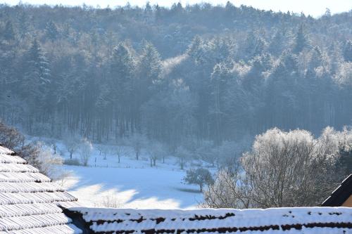 a snow covered field with trees and a mountain at Ferienbauernhof Brandt 