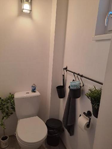 a bathroom with a white toilet and some plants at NAD STARÝM SKLEPEM in Valtice