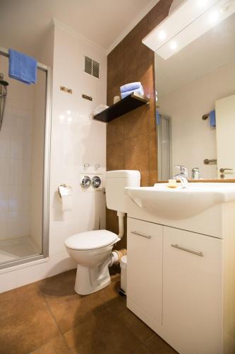 a bathroom with a toilet and a sink and a shower at Alpenoase in Farchant