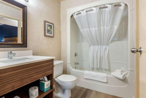 a bathroom with a sink and a toilet and a shower at Quality Suites in Whitby