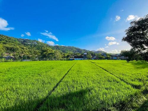un campo de césped verde con montañas en el fondo en Villa Kamar Tamu Piyungan en Bantul