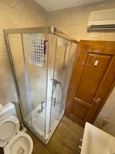 a bathroom with a shower with a toilet and a sink at Apartmani Astra in Risovac