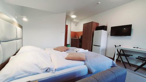 ein Schlafzimmer mit einem Bett mit Kissen darauf in der Unterkunft Holiday Family in Szklarska Poręba