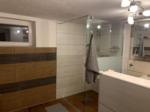 a bathroom with a shower and a sink and a mirror at Schöne moderne & rustikale Einliegerwohnung mit Küche in Schramberg