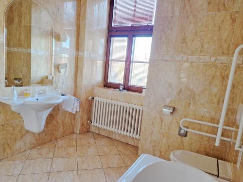 a bathroom with a sink and a toilet at ROMANTIK HOTEL ELEONORA in Tábor