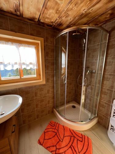 uma casa de banho com um chuveiro e um lavatório. em Kilge Alm em Grosskirchheim