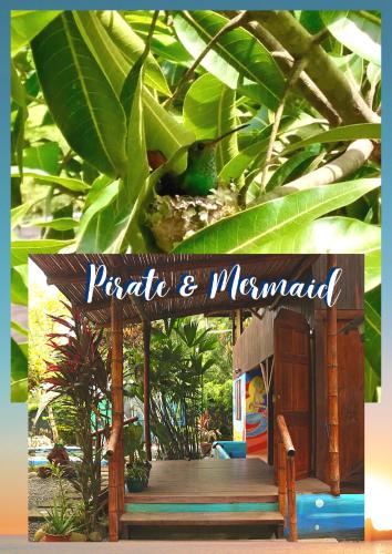 Φωτογραφία από το άλμπουμ του Pirate and Mermaid Beach House σε Puerto Viejo