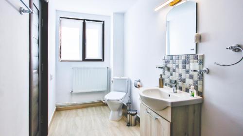 La salle de bains est pourvue de toilettes et d'un lavabo. dans l'établissement Casa Zânelor Slănic Moldova, à Slănic-Moldova