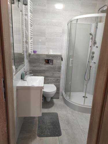 科希切日納的住宿－Nocleg na Poziomkowej，带淋浴、盥洗盆和卫生间的浴室