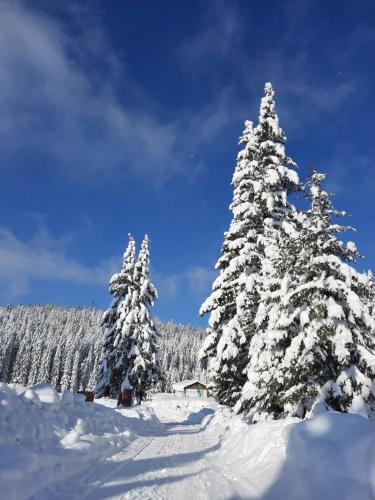Gallery image of Vila Jelena in Jahorina