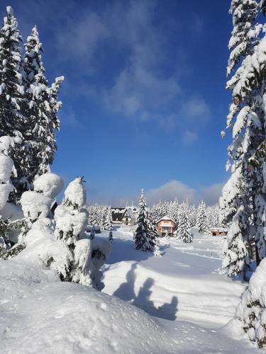 Gallery image of Vila Jelena in Jahorina