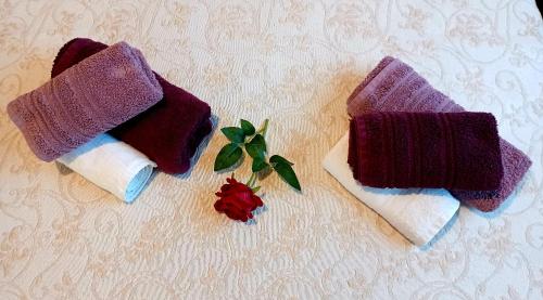 ein paar Handtücher auf einem Tisch mit einer Rose in der Unterkunft Apartman Marija in Barban