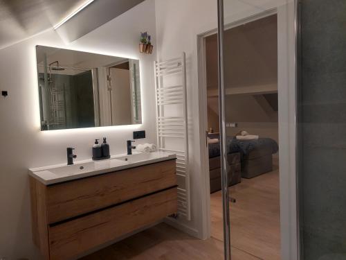 een badkamer met een wastafel en een spiegel bij Viator Tongeren in Tongeren