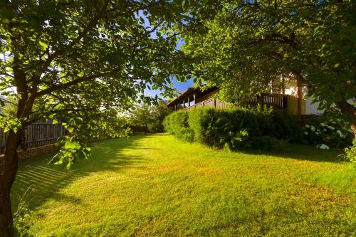 a yard with a tree and a house at Willa SPAcja in Wężówka