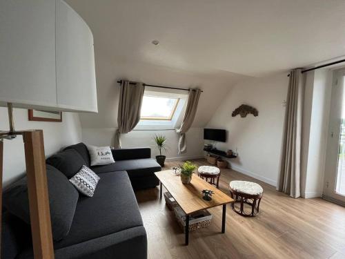 ein Wohnzimmer mit einem Sofa und einem Tisch in der Unterkunft Appartement T2 - port d'Orange in Saint-Pierre-Quiberon