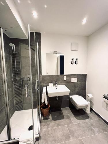 a bathroom with a shower and a sink and a toilet at Zentrales charmantes Apartment im Altstadtkern in Bayreuth