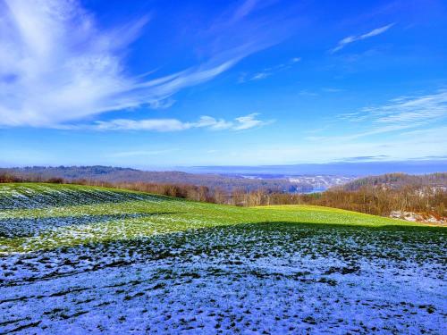 a field of flowers on a hill with a blue sky at Jaśkowe Wzgórze domki na wynajem, balia, Szymbark DOMEK NR 1 in Szymbark