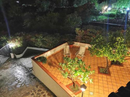 an overhead view of a garden with trees and chairs at Itaca Rooms Palinuro in Palinuro