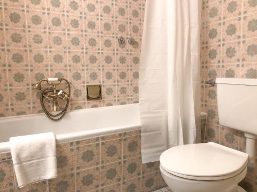 a bathroom with a toilet and a bath tub at Hotel Harzer am Kurpark in Bad Herrenalb