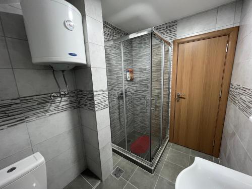 a bathroom with a shower and a toilet and a sink at Aster Apartments in Belgrade