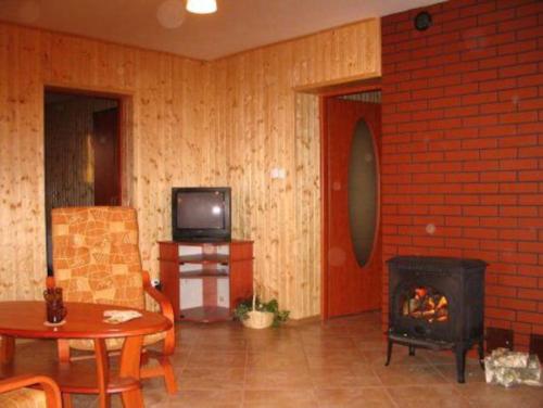 a living room with a fireplace and a tv at Agroturystyka Leśna Wyspa in Kaliska