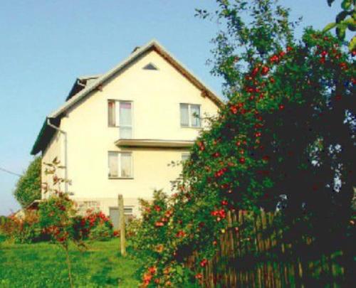 a white house with red flowers in front of it at Agroturystyka Leśna Wyspa in Kaliska