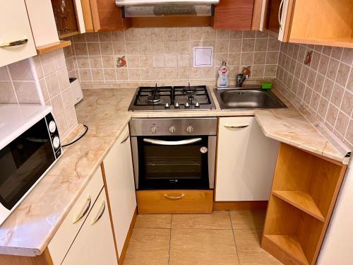 Kuchyňa alebo kuchynka v ubytovaní Stara Louka Apartments