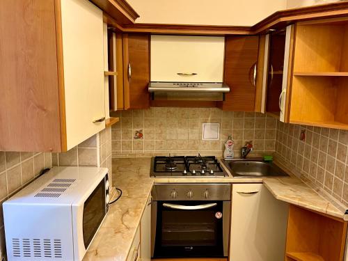 Kuchyňa alebo kuchynka v ubytovaní Stara Louka Apartments