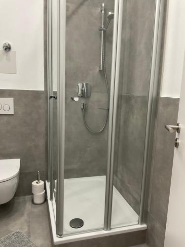 a shower with a glass door in a bathroom at Deluxe Apartments Messe Flughafen in Leinfelden-Echterdingen