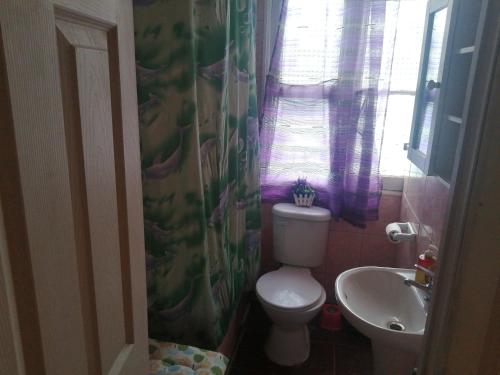 een kleine badkamer met een toilet en een wastafel bij Alojamiento familiar rey in Punta Arenas