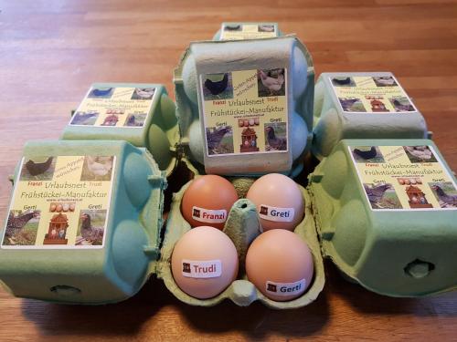 a group of eggs in cartons on a table at Urlaubsnest in Harbach