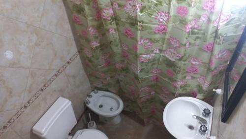 y baño con lavabo, aseo y cortina de ducha. en Departamento La Argentina en San Luis