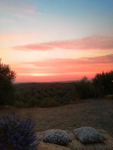 Sa Mola Experience TENDA – Photos 4