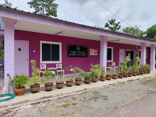 Taman Negara River View Lodge في كوالا تاهان: مبنى وردي أمامه نباتات الفخار