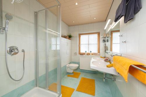 een badkamer met een douche, een wastafel en een toilet bij Molteraugut in Mühlbach am Hochkönig