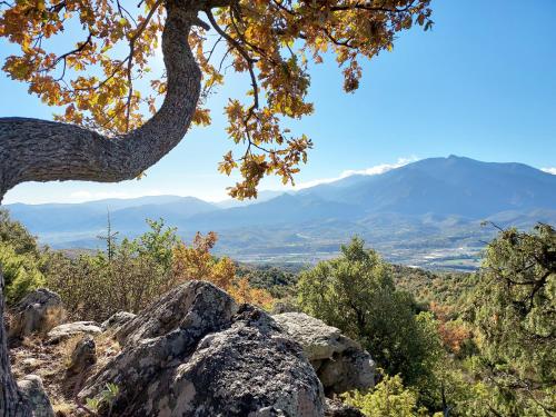 a view from the top of a mountain with a tree at L'Ours Brun holiday rental in Eus
