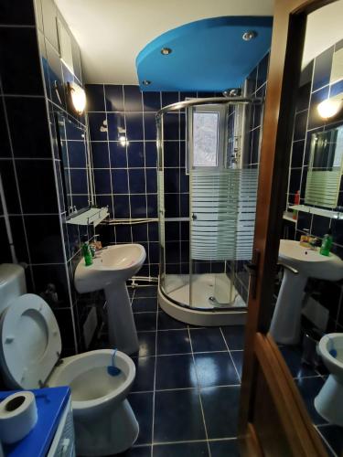 a bathroom with two sinks and a toilet and a shower at Noah Apartment in Uricani