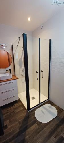 a bathroom with a shower and a glass door at Doma Anna in Blois